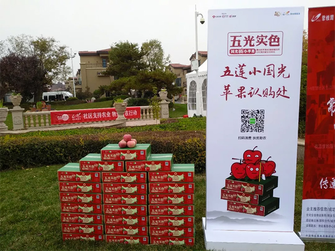 from clipboard from clipboard